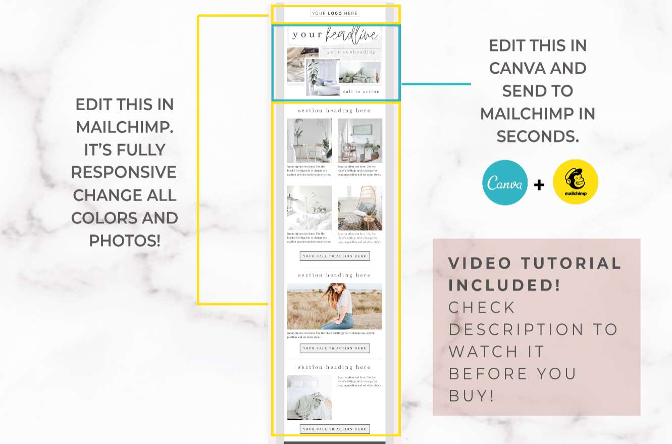 Email Newsletter Template for Canva & Mailchimp – White Linen